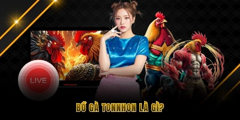 Bồ gà Tonnhon là gì?